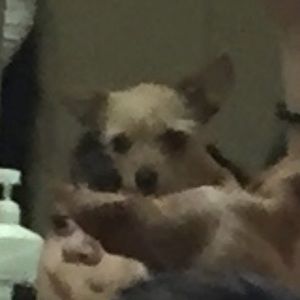 Meet your Posher, Alex